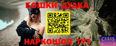 герыч Кингисепп