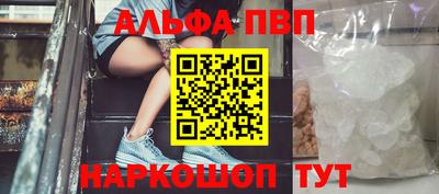 герыч Кингисепп