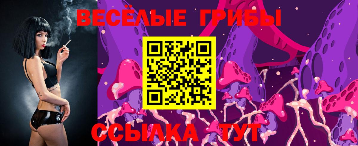 магазин продажи   Галлюциногенные грибы Psilocybine cubensis  Вход с VPN  Комсомольск-на-Амуре 